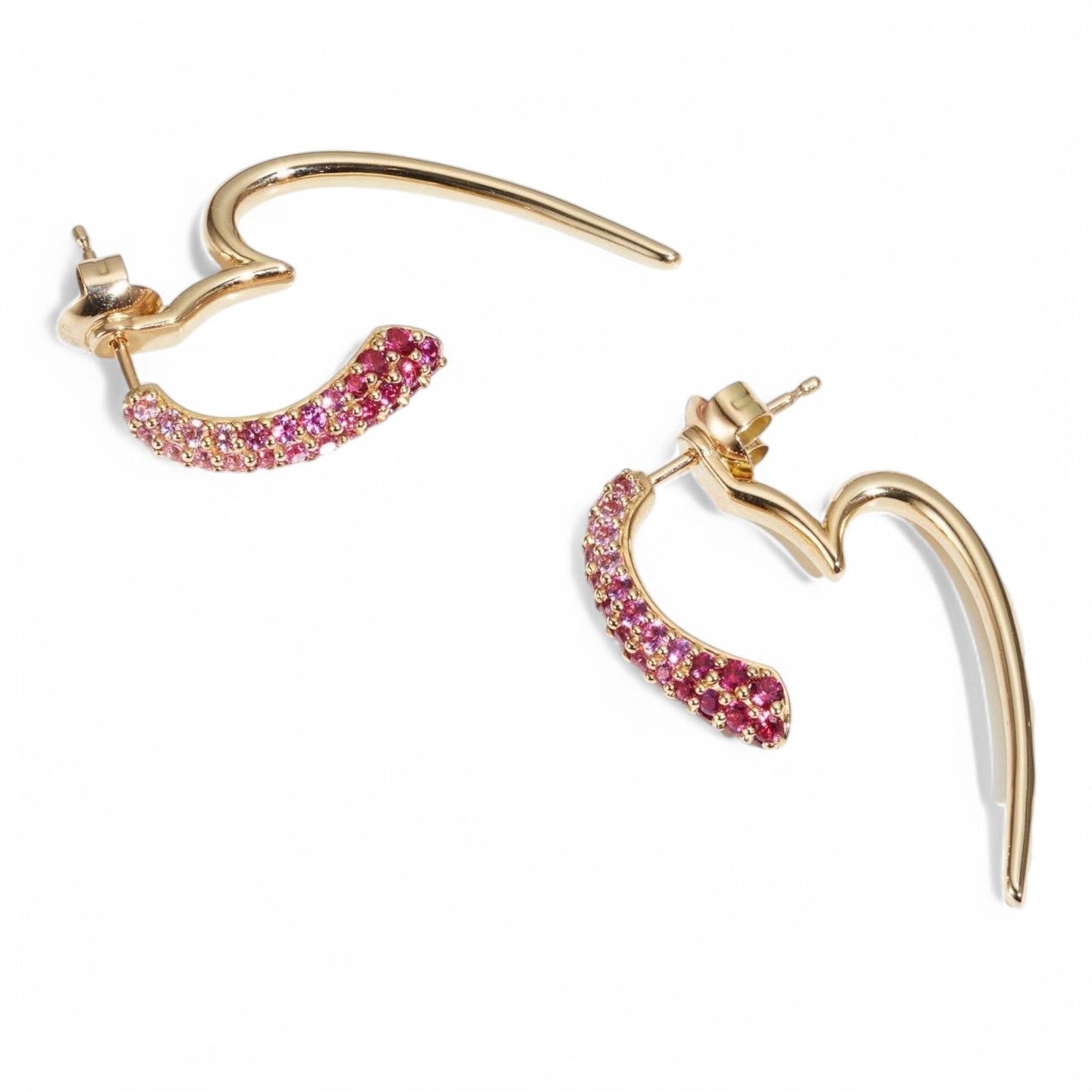 Elegant Curved 2 in 1 Hoop Earrings