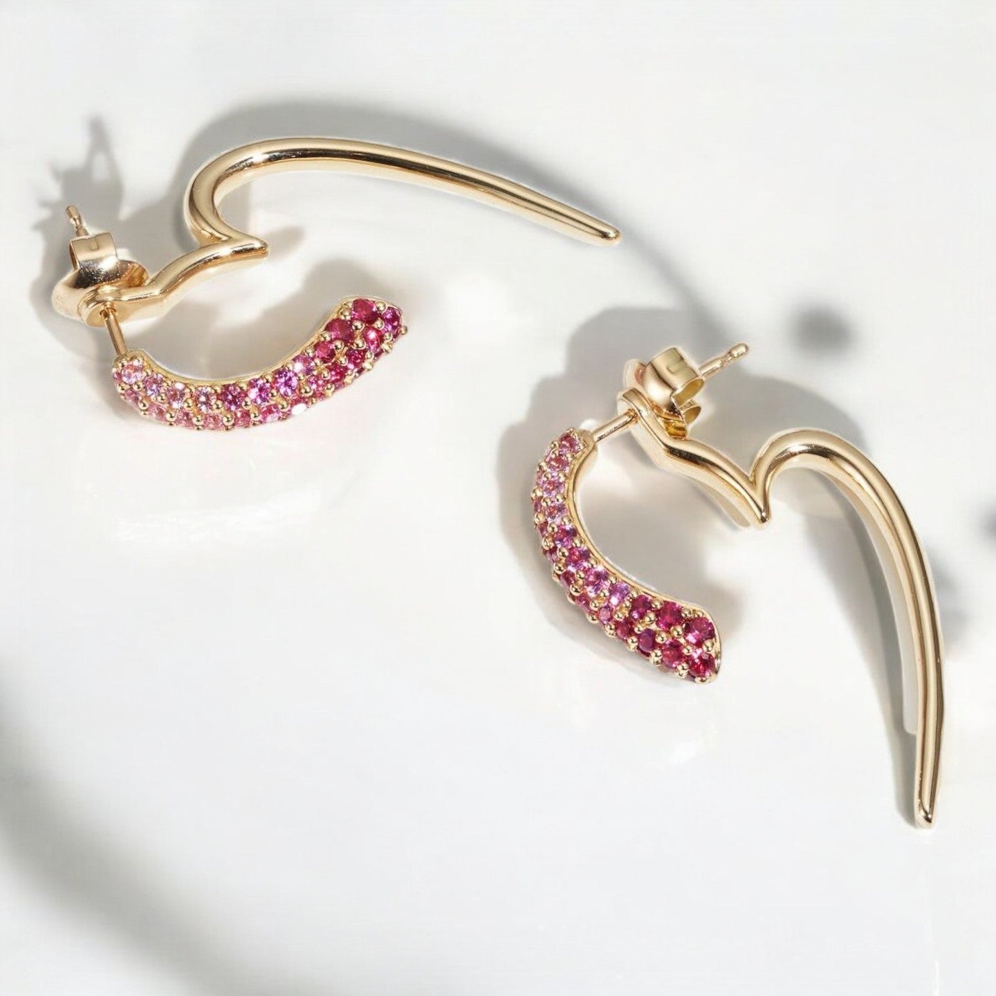 Elegant Curved 2 in 1 Hoop Earrings