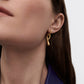 Celine Twist Hoops