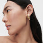 Orbit Sculpted Gold Earrings for Women