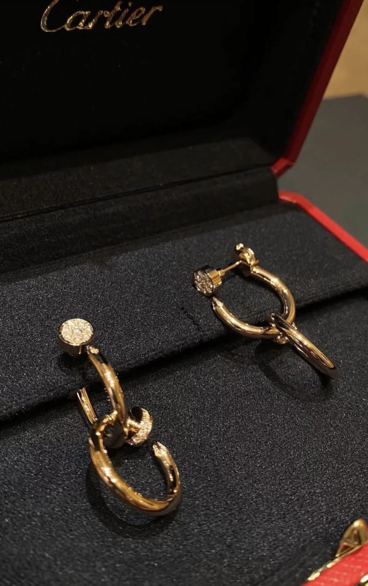 Veyra Halo Earrings