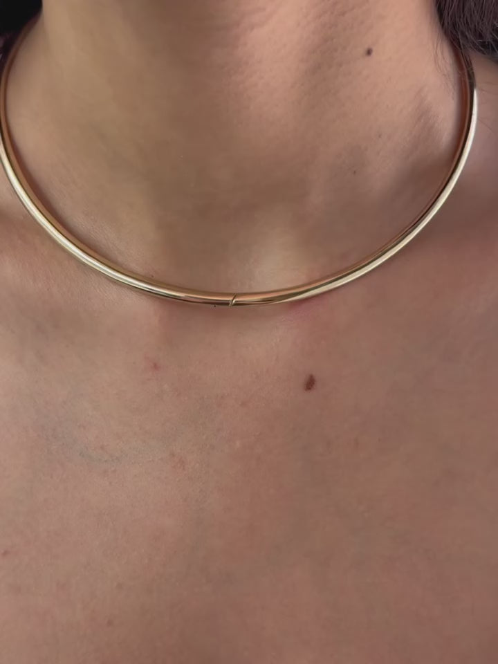 Coin Pendant Torque Necklace