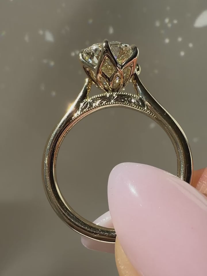 Nora Radiance Ring (Size 7)
